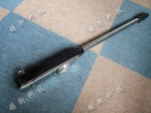 ָ�ʽŤ������